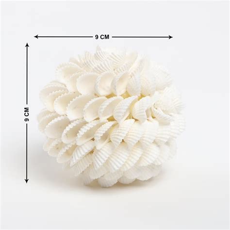 Buy Splendid Santorini Sea Shell Decorative Table Accent from Home ...