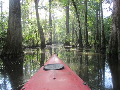 ALTAMAHA COASTAL TOURS (2026) All You Need to Know BEFORE You Go (with ...
