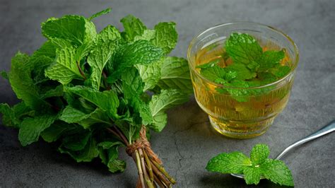 Spearmint Tea Side Effects