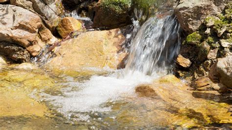 Mountain Spring Water NC 的图像结果