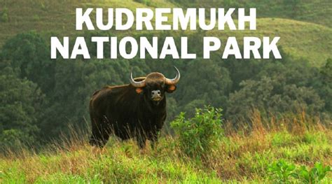Tourist Spots of Chikmagalur | Places to Visit Chikkamagalur ...