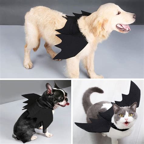Buy Brocarp Dog Bat Costume, Halloween Pet Costumes Dog Bat Wings ...
