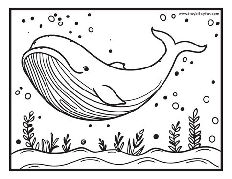 Free Printable Whale Coloring Pages for Kids - Itsy Bitsy Fun