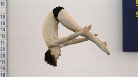 Image result for Diving Wrist Computer