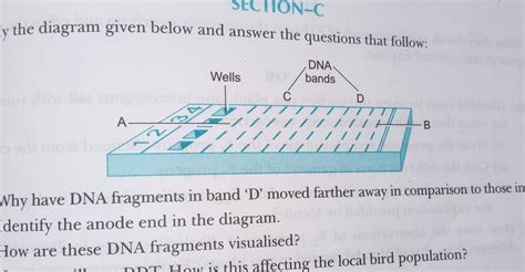 Study the diagram given below and answer the following question that ...