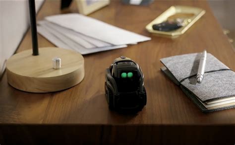 Vector Robot 的图像结果