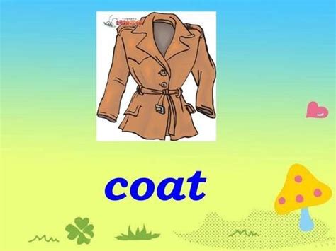 coat什么意思-coat什么意思,coat,什么,意思 - 早旭阅读
