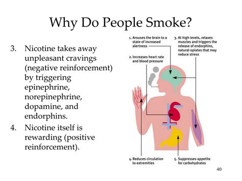 PPT - Stress and Health Chapter 12 PowerPoint Presentation, free download - ID:146444