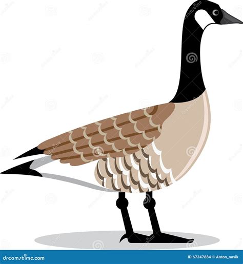 Brown Goose Vector Stylized Stock Vector - Illustration of american ...