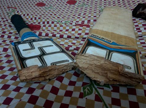 Buy SS EW BAT CUSTOM GRADE 6 English Willow Cricket Bat ( Size: Size 6 ...