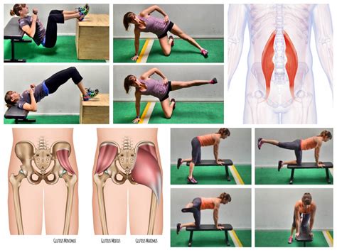 Gluteus Minimus Pain Stretches