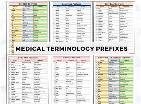 Medical Terminology Flashcards, Medical Terminology Prefixes and ...