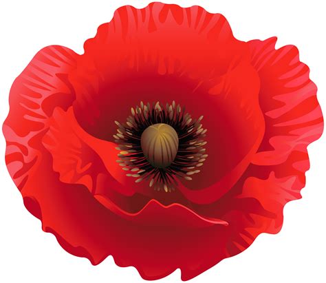 Poppy Clip Art