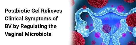 Successful ART outcome with donor oocytes in female Kartagener’s ...