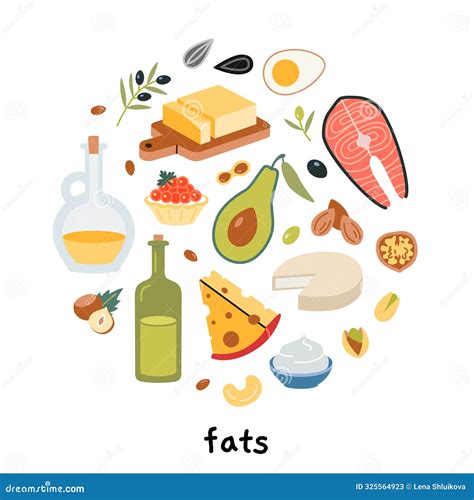 Healthy Fats Sources Product Infographic. Set with Fatty Food Like Meat, Avocados, Nuts, Oils ...