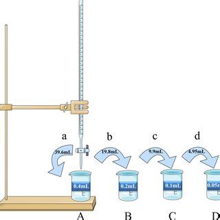 Image result for Concentration Gradient For Dummies