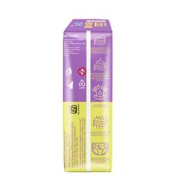 Buy Apollo Essentials Xtra Absorb Baby Diapers New Born, 78 Count | 19 ...