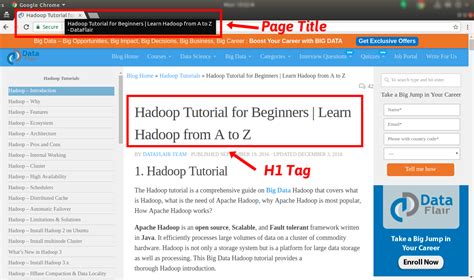 The Major SEO Meta Tags (SEO Title Tag, Meta Description Tag, Keywords ...