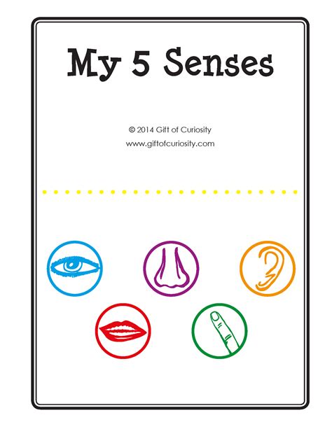 My Five Senses Printable Book