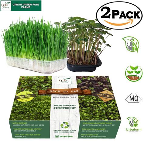 Wheatgrass + Ambadi Greens Microgreen Grow Kit By UGF Farms | Soilless ...