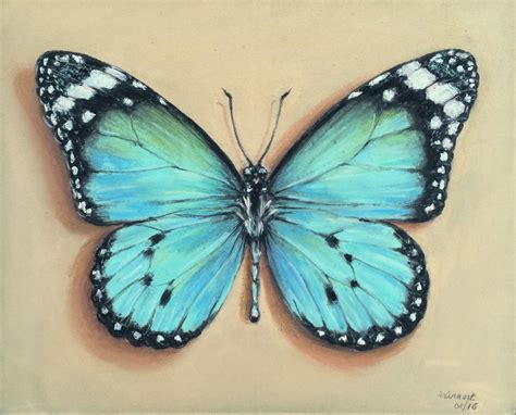 Butterfly in pastel | Butterfly art drawing, Butterfly art painting ...