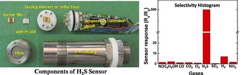Hydrogen Sulphide Sensor with Monitor (Model: TPD-BARC 1050)
