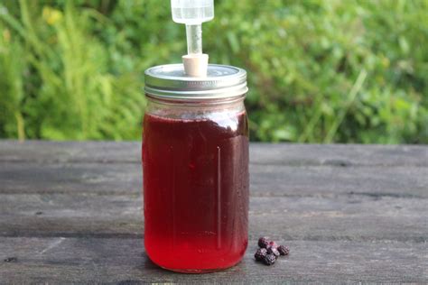 Elderberry Wine Recipe 5 Gallons - Home Alqu