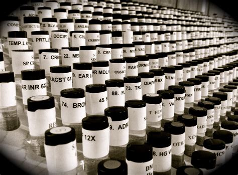 What Is Field Control Therapy? - Organic Wellness LLC