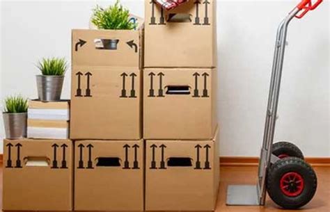 AVN International Packers and Movers | Rating, Reviews & Rates