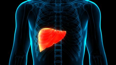 Suboxone and Your Liver: How it Works, Warnings & More | MATClinics