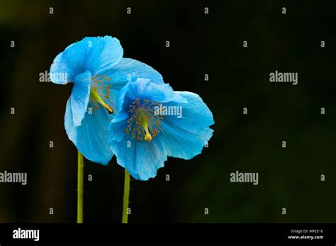 Image result for Programming Notebook Cover