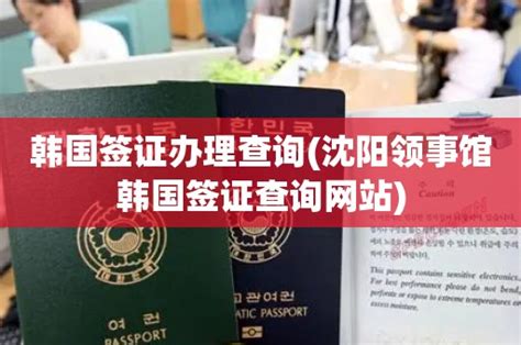 韩国签证办理查询(沈阳领事馆韩国签证查询网站) - 韩国签证中心