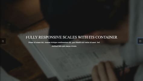JavaScript Slider 的图像结果