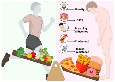 Evaluation of Junk Food Consumption and the Risk Related to Consumer Health among the Romanian ...