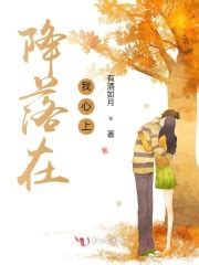 《降落在我心上》最新章节目录_降落在我心上全文免费在线阅读 - 言情小说吧