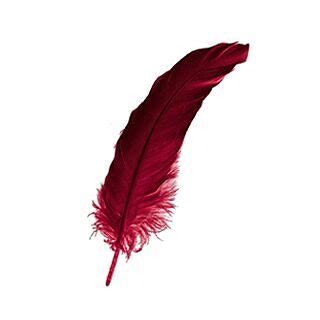 Amazon.in: Roberto Pinzone Vecchio: books, biography, latest update