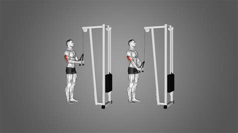 9 Great Triceps Pushdown Alternatives to Maximize Gains - Inspire US