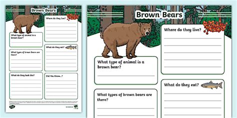 Brown Bear Fact File Template