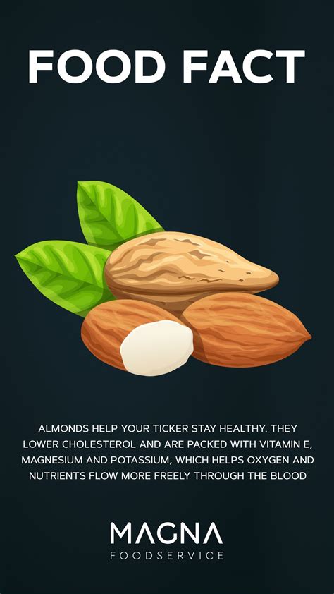 Pin on Food | Food facts, Healthy food facts, Food health benefits