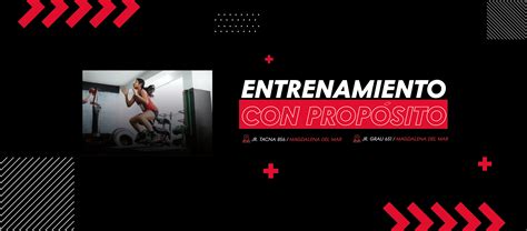 Performance 的图像结果