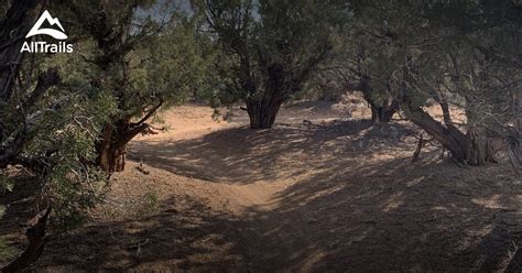 Image result for Alien Run Trails