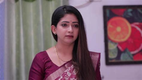 Idhayam TV Serial Online - Watch Latest Show Episodes on ZEE5