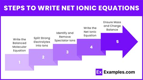 Image result for Net Ionic Equations Examples