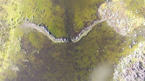 Australian Wildfires Reveal Ancient Water System Older than the ...