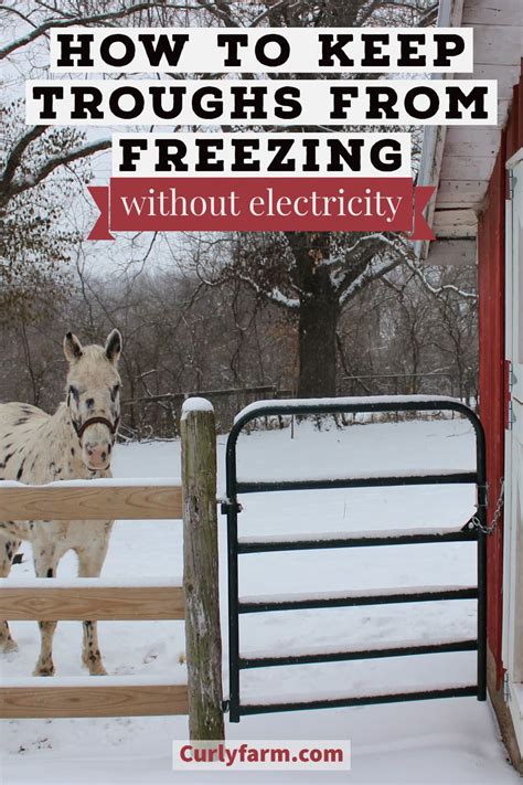 How To Keep Livestock Water Trough From Freezing at Sarah Solomon blog
