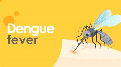 Dengue outbreak: shortage of ventilators and platelets - KERALA ...