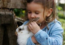 Image result for Colorful Bunny Images