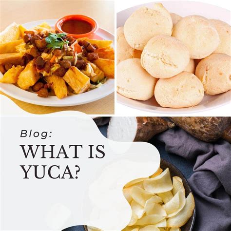 What is Yuca: Benefits and Uses of the Latin American Staple
