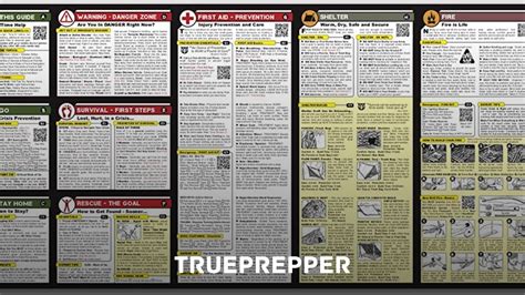 Survival 的图像结果