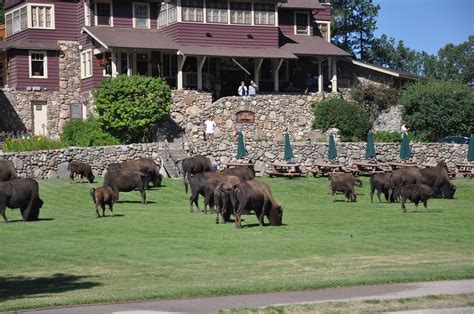 South Dakota Campgrounds For Sale: Invest in Your Dream
